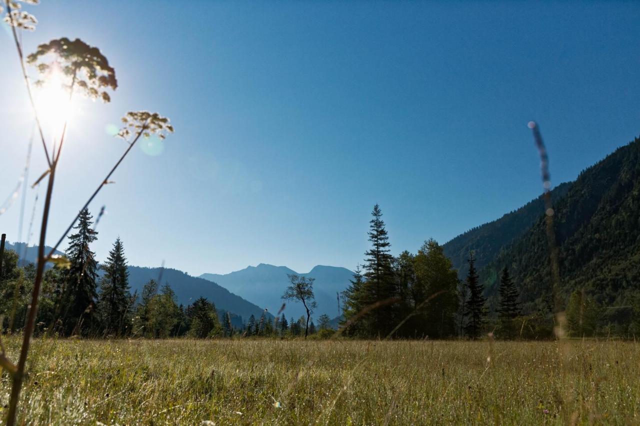 巴特科尔格鲁布Alpinlife Chalet公寓 外观 照片